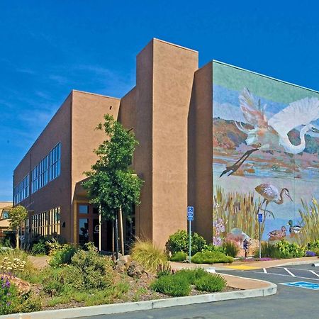 Doubletree By Hilton Napa Valley - American Canyon Eksteriør billede