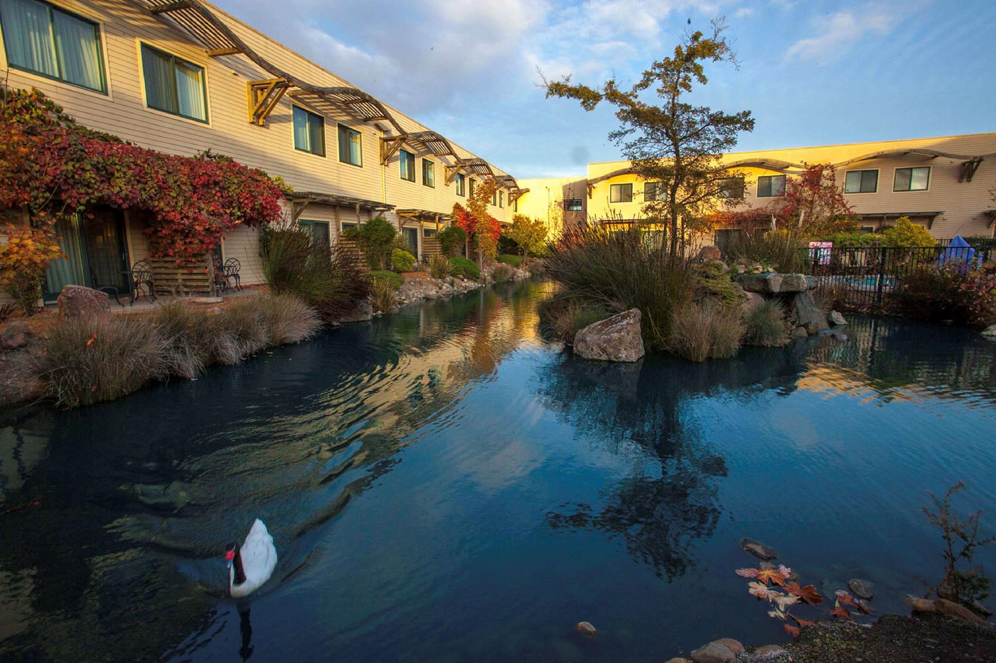 Doubletree By Hilton Napa Valley - American Canyon Eksteriør billede